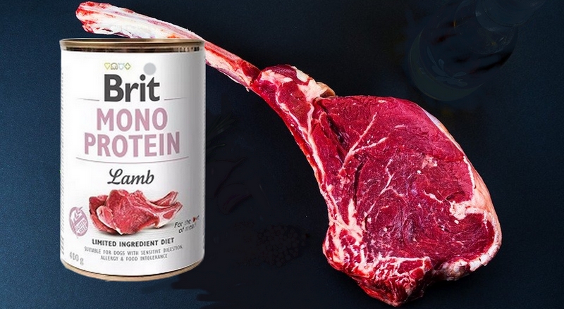 Mono proteiny jako vhodná dieta pro zjištění alergie