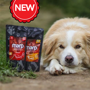 Vývar pro psa? Jedině ten od Marp Holistic!