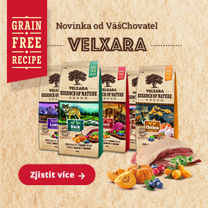 Holistická novinka bez obilovin – VELXARA