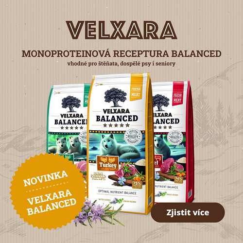 Superprémiová monoproteinová novinka – Velxara Balanced